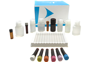 JM Healthcare